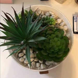 Riley Rose Plastic Succulent